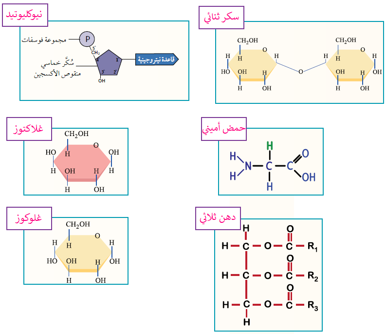 المركبات العضوية الحياتية المركبات العضوية الحياتية